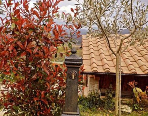 Il Podere Di Massi Barberino di Mugello Luaran gambar