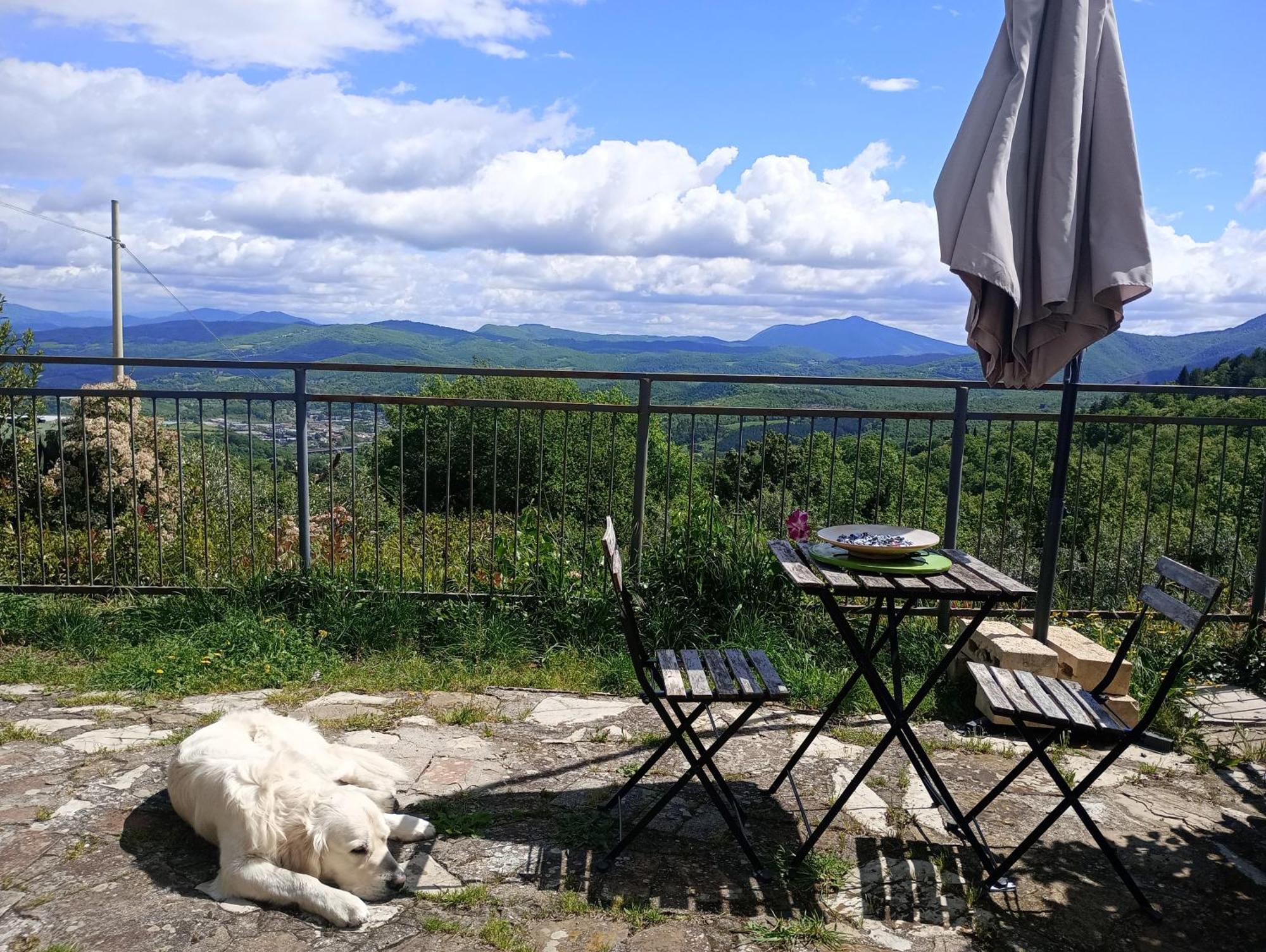 Il Podere Di Massi Barberino di Mugello Luaran gambar