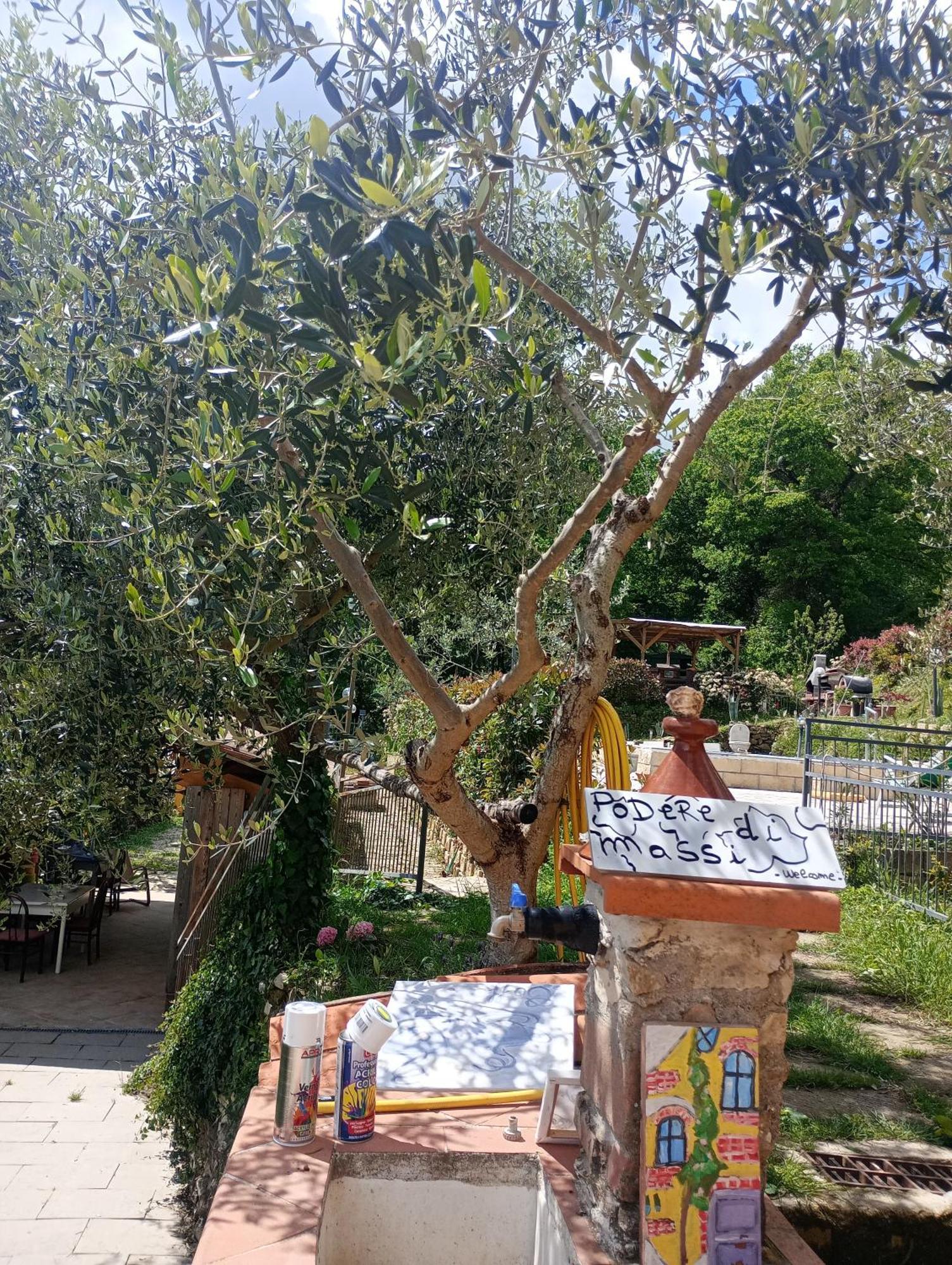 Il Podere Di Massi Barberino di Mugello Luaran gambar